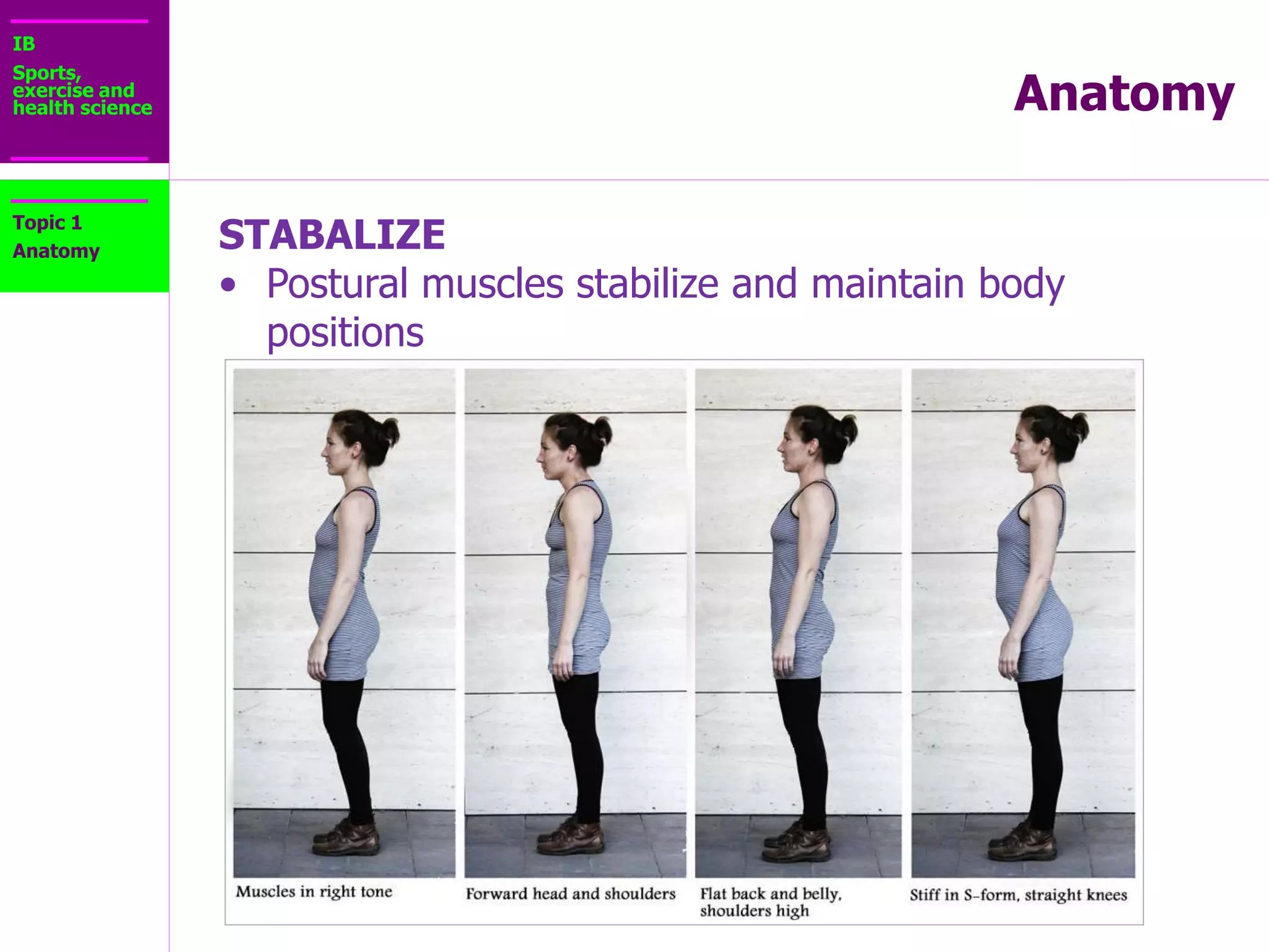 IB
Sports,
exercise and
health science Anatomy
Topic 1
Anatomy
GENERATE HEAT
• Body wants to be cozy
• When temps drop, the
body shivers to warm
back up!
 