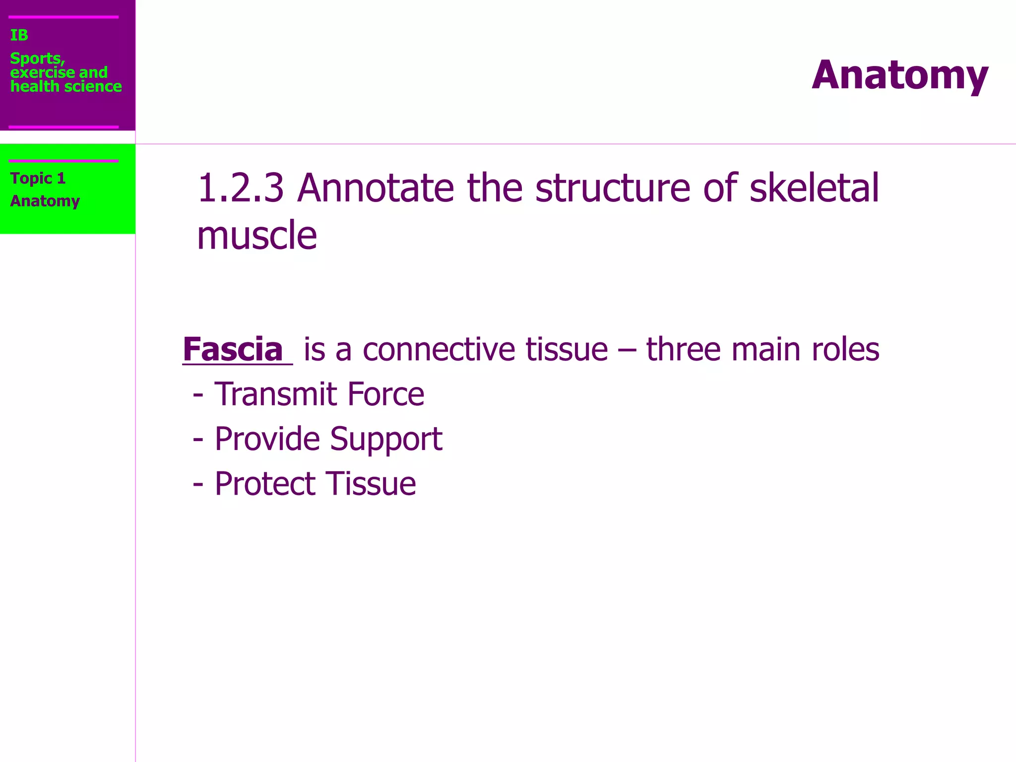 IB
Sports,
exercise and
health science Anatomy
1.2.3 Annotate the structure of skeletal
muscle
Topic 1
Anatomy
 
