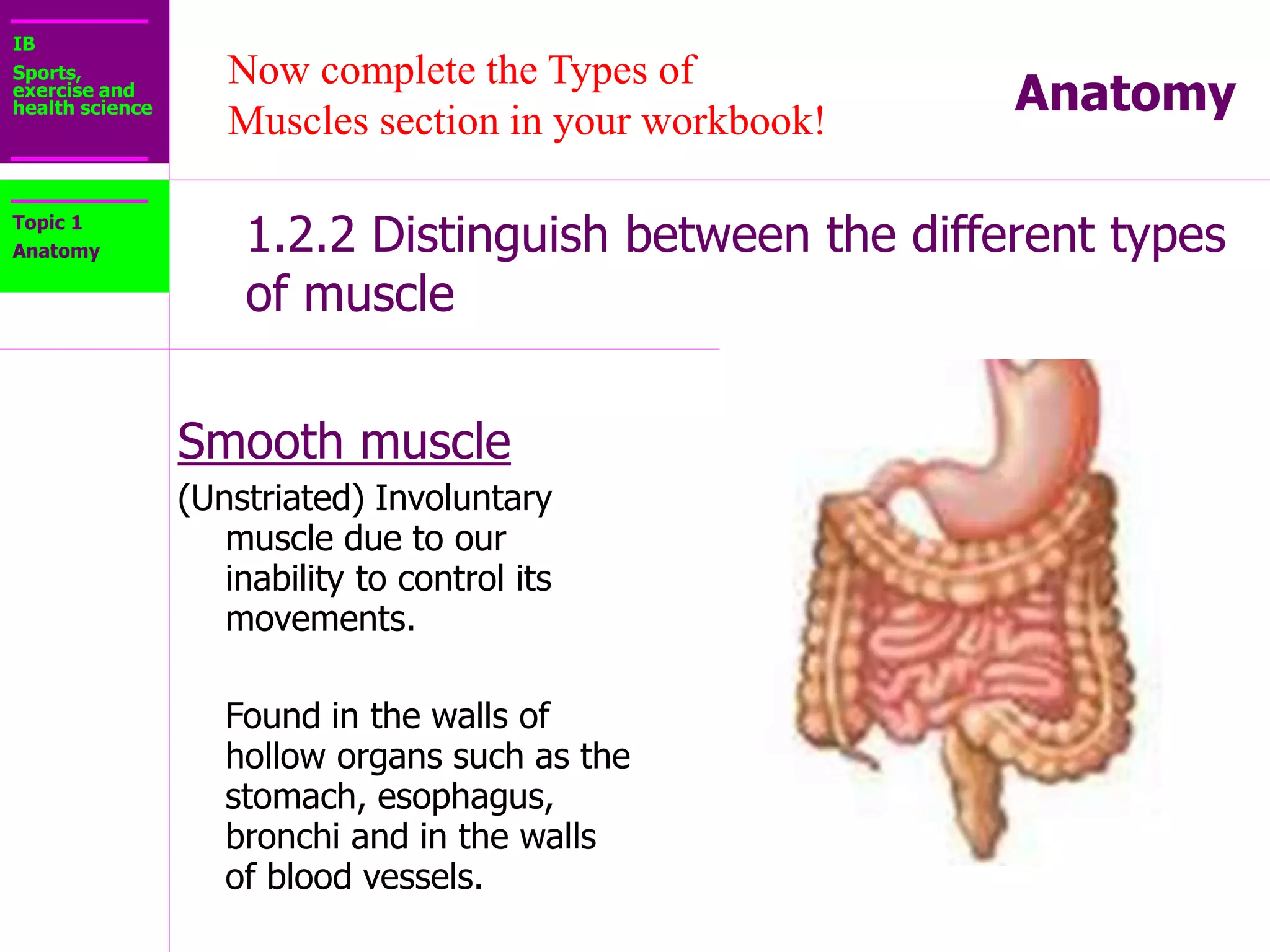 IB
Sports,
exercise and
health science Anatomy
REVIEW POINT
1.2.2 Distinguish between the different types
of muscle
Topic 1
Anatomy
 Skeletal
 Cardiac
 Smooth
DET PDHPE Distance Education Programme.
 