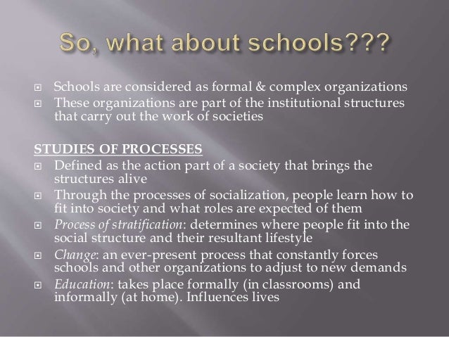 sociology