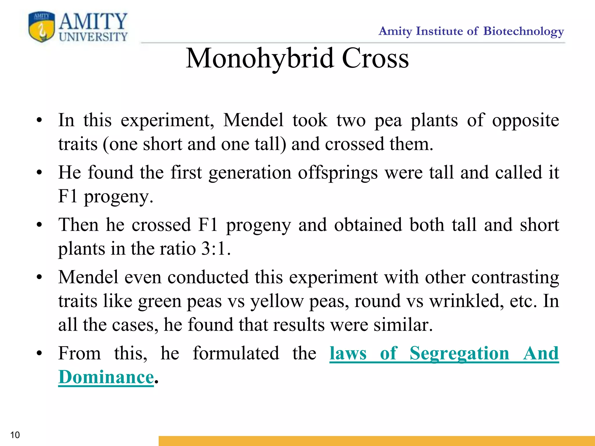 Amity Institute of Biotechnology
Monohybrid Cross
• In this experiment, Mendel took two pea plants of opposite
traits (one short and one tall) and crossed them.
• He found the first generation offsprings were tall and called it
F1 progeny.
• Then he crossed F1 progeny and obtained both tall and short
plants in the ratio 3:1.
• Mendel even conducted this experiment with other contrasting
traits like green peas vs yellow peas, round vs wrinkled, etc. In
all the cases, he found that results were similar.
• From this, he formulated the laws of Segregation And
Dominance.
10
 