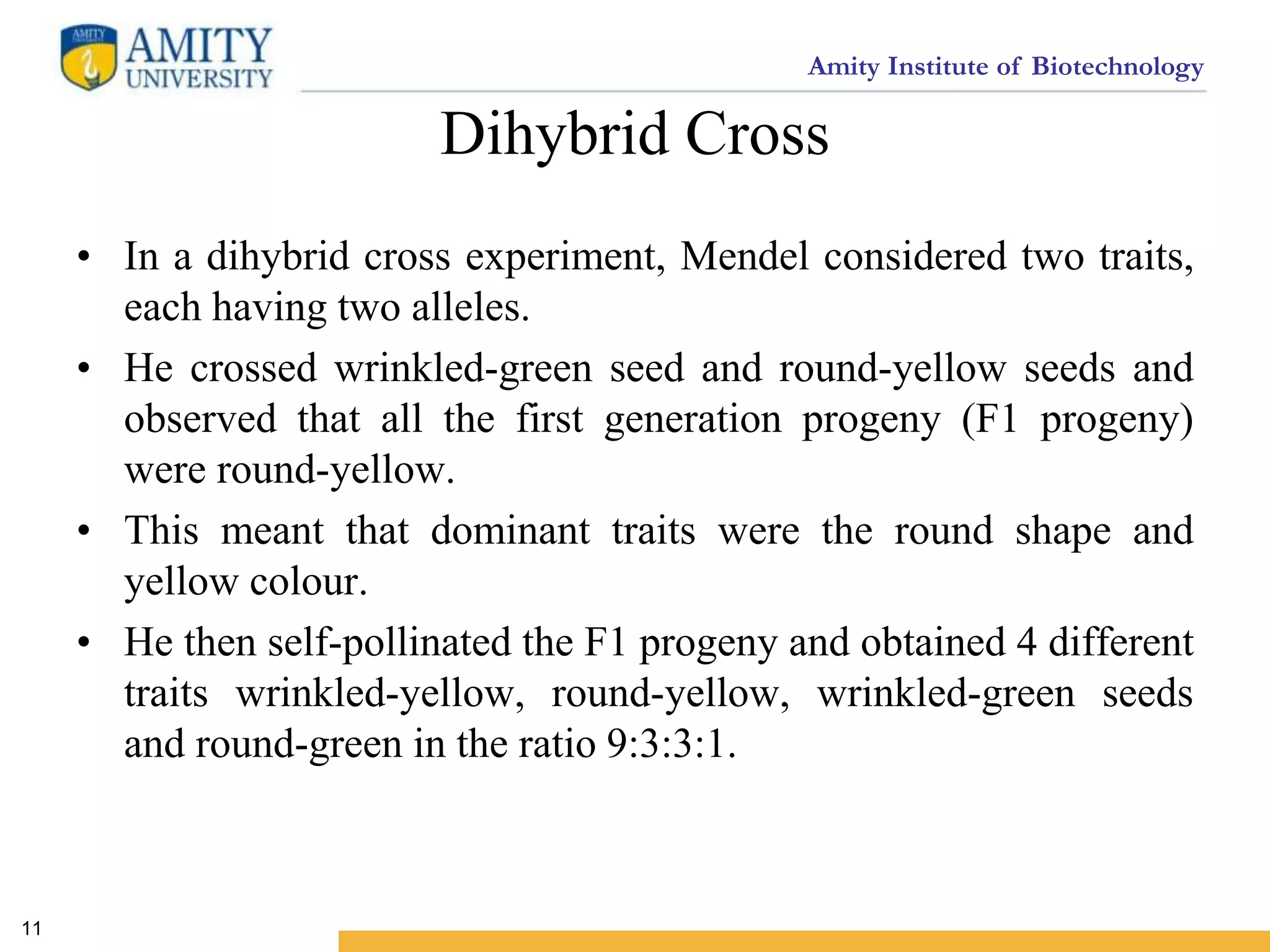 Amity Institute of Biotechnology
Dihybrid Cross
• In a dihybrid cross experiment, Mendel considered two traits,
each having two alleles.
• He crossed wrinkled-green seed and round-yellow seeds and
observed that all the first generation progeny (F1 progeny)
were round-yellow.
• This meant that dominant traits were the round shape and
yellow colour.
• He then self-pollinated the F1 progeny and obtained 4 different
traits wrinkled-yellow, round-yellow, wrinkled-green seeds
and round-green in the ratio 9:3:3:1.
11
 