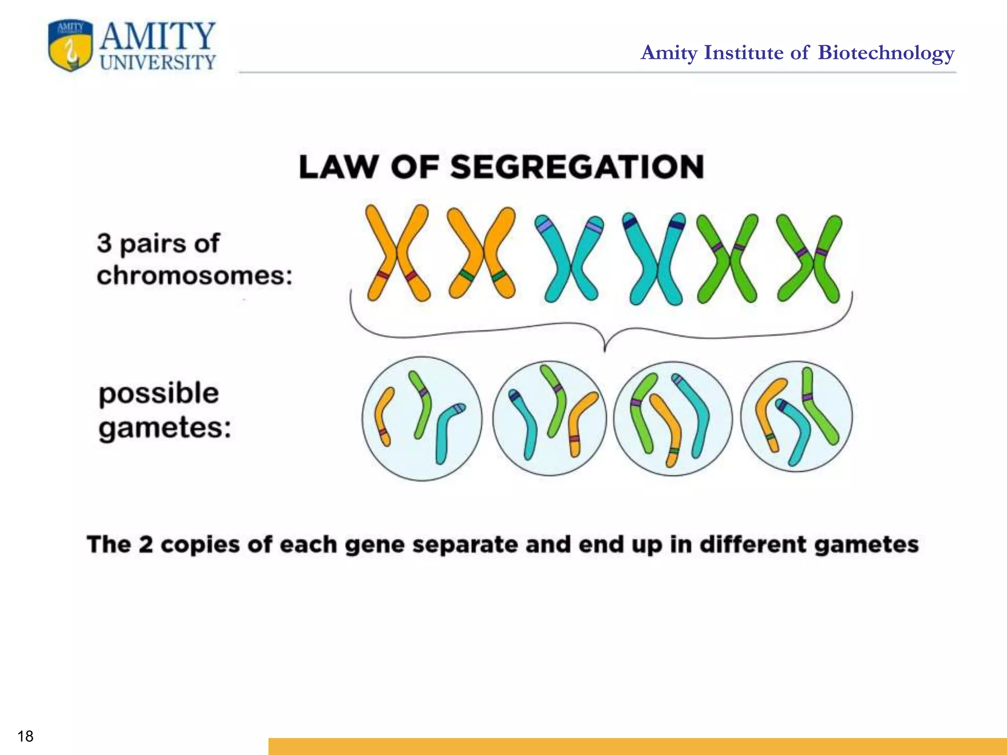 Amity Institute of Biotechnology
18
 