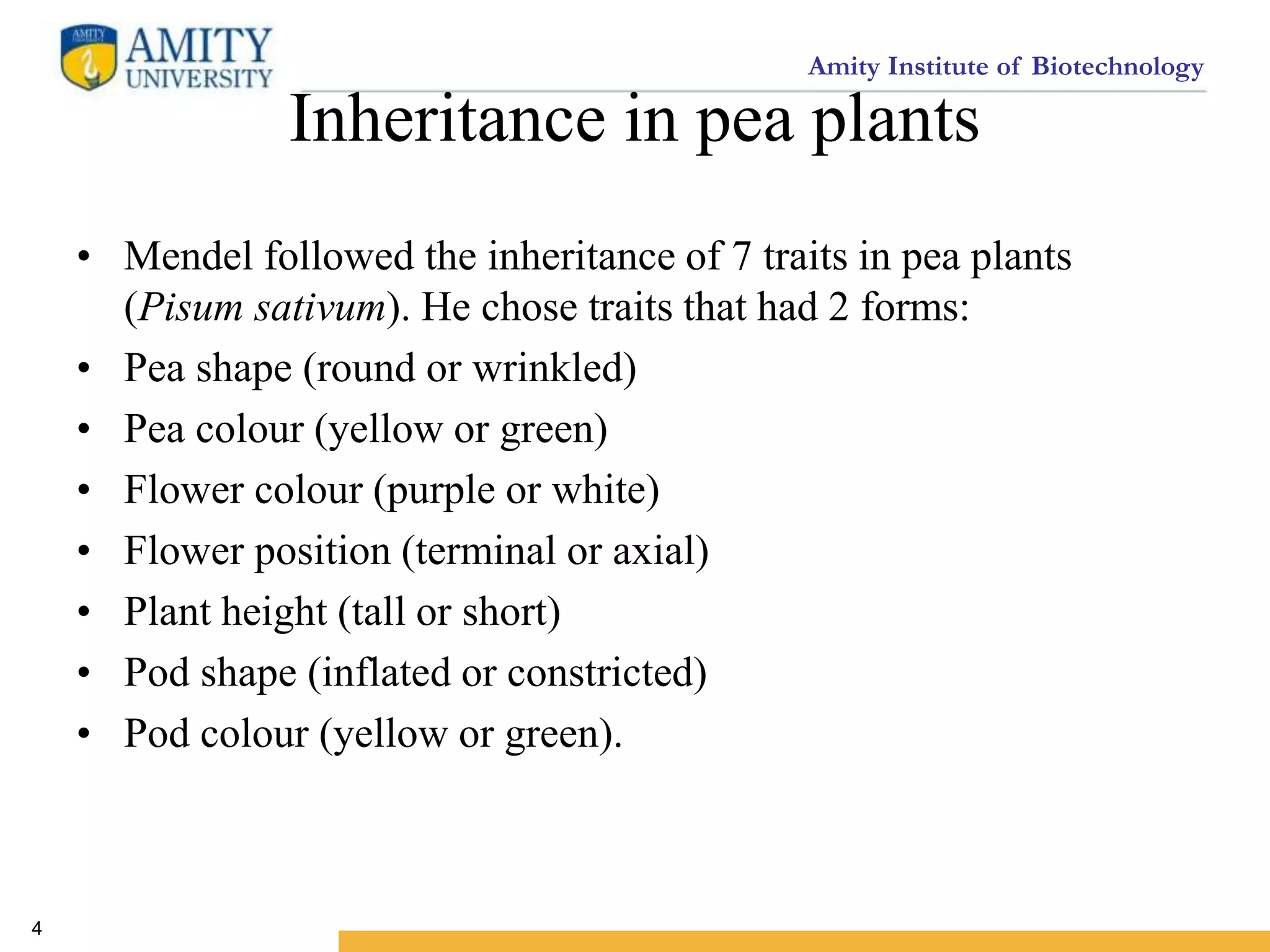 Amity Institute of Biotechnology
Inheritance in pea plants
• Mendel followed the inheritance of 7 traits in pea plants
(Pisum sativum). He chose traits that had 2 forms:
• Pea shape (round or wrinkled)
• Pea colour (yellow or green)
• Flower colour (purple or white)
• Flower position (terminal or axial)
• Plant height (tall or short)
• Pod shape (inflated or constricted)
• Pod colour (yellow or green).
4
 