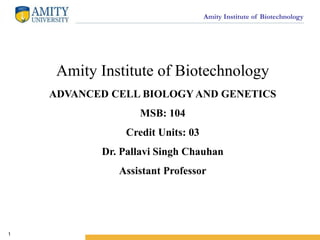 Amity Institute of Biotechnology
1
Amity Institute of Biotechnology
ADVANCED CELL BIOLOGY AND GENETICS
MSB: 104
Credit Units: 03
Dr. Pallavi Singh Chauhan
Assistant Professor
 