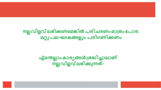 നലലേിളവ്ലഭിക്കണരമങ്കിൽ പെിെെണംമാത്തംവപാെ,
മറ്റുപലഘടകങ്ങളും പെിഗണിക്കണം
എരതലലാംകാെയങ്ങൾത്രദ്ധിച്ചാലാണ്
നലലേിളവ്ലഭിക്കുന്നത്?
 