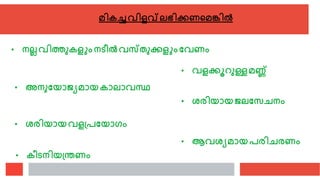 മികച്ചേിളവ്ലഭിക്കണരമങ്കിൽ
• നലലേിത്തുകളുംനടീൽേസ്തുക്കളുംവേണം
• േളക്കൂറുള്ളമണ്ണ്
• അനുവയാജ്യമായകാലാേസ്ഥ
• രെിയായജ്ലവസെനം
• രെിയായേളത്പവയാഗം
• ആേരയമായപെിെെണം
• കീടനിയത്തണം
 