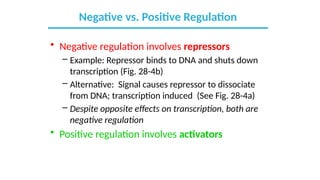 Comprehensive Overview of Gene Expression Regulation Mechanisms | PPTX