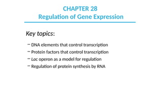 Comprehensive Overview of Gene Expression Regulation Mechanisms | PPTX