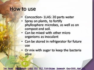 Training on Preparation of Organic Concoctions | PPTX
