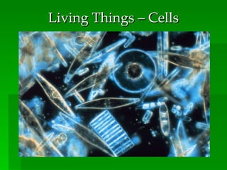 Living Things – Cells 
