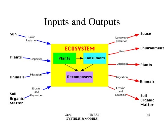 Topic 1 systems & models