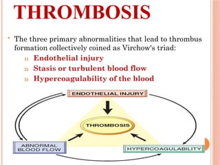 Circulatory System Disorders: Diagnosis & Management | PPTX