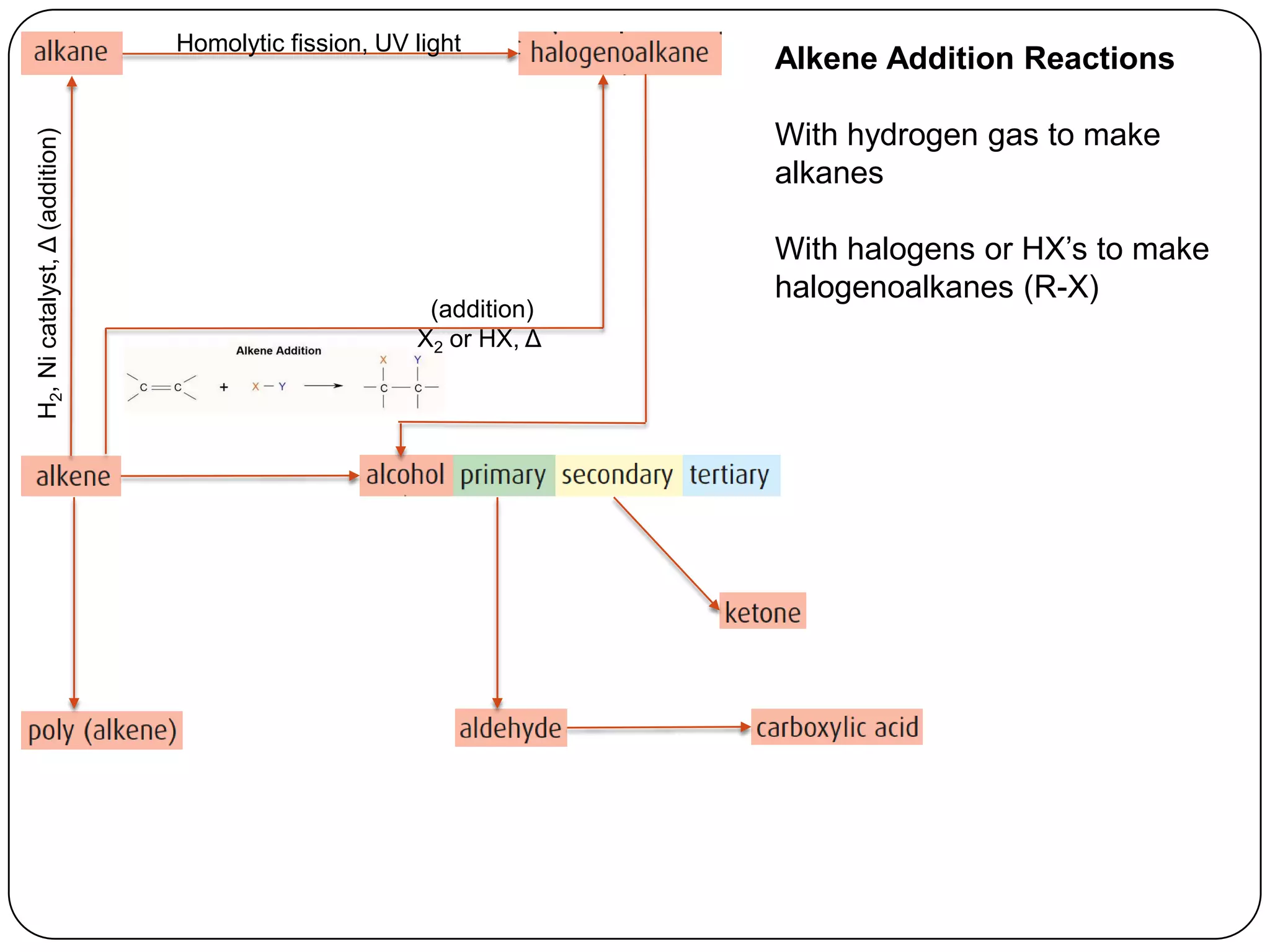 Homolytic fission, UV light
                                                                    Alkene Addition Reactions

                                                                    With hydrogen gas to make
H2, Ni catalyst, Δ (addition)




                                                                    alkanes

                                                                    With halogens or HX’s to make
                                                                    halogenoalkanes (R-X)
                                                       (addition)
                                                      X2 or HX, Δ
 