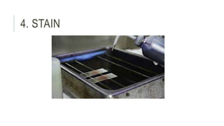 4. STAIN
 