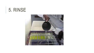 5. RINSE
 