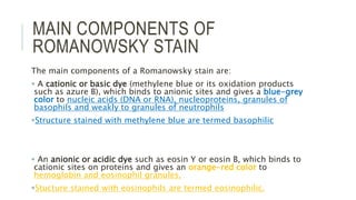 MAIN COMPONENTS OF
ROMANOWSKY STAIN
The main components of a Romanowsky stain are:
 A cationic or basic dye (methylene blue or its oxidation products
such as azure B), which binds to anionic sites and gives a blue-grey
color to nucleic acids (DNA or RNA), nucleoproteins, granules of
basophils and weakly to granules of neutrophils
Structure stained with methylene blue are termed basophilic
 An anionic or acidic dye such as eosin Y or eosin B, which binds to
cationic sites on proteins and gives an orange-red color to
hemoglobin and eosinophil granules.
Stucture stained with eosinophils are termed eosinophilic.
 