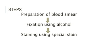 STEPS
Preparation of blood smear
Fixation using alcohol
Staining using special stain
 