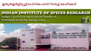ഇെയൻഇൻസ്റ്റിറ്റ്യൂട്ട്ഓഫ്സ്പരസസ്റിസർച്ച്-വകാഴിവക്കാട്
 