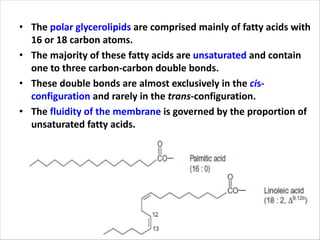 • The polar glycerolipids are comprised mainly of fatty acids with
16 or 18 carbon atoms.
• The majority of these fatty acids are unsaturated and contain
one to three carbon-carbon double bonds.
• These double bonds are almost exclusively in the cis-
configuration and rarely in the trans-configuration.
• The fluidity of the membrane is governed by the proportion of
unsaturated fatty acids.
 