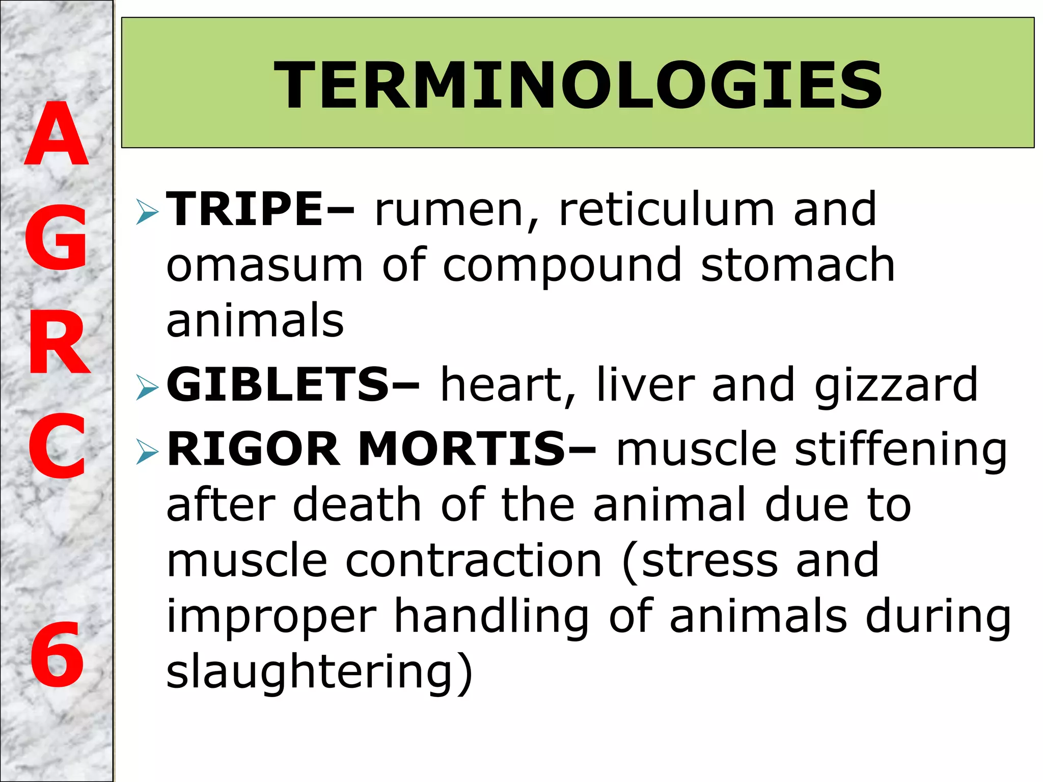 TRIPE– rumen, reticulum and
omasum of compound stomach
animals
GIBLETS– heart, liver and gizzard
RIGOR MORTIS– muscle stiffening
after death of the animal due to
muscle contraction (stress and
improper handling of animals during
slaughtering)
TERMINOLOGIES
A
G
R
C
6
 