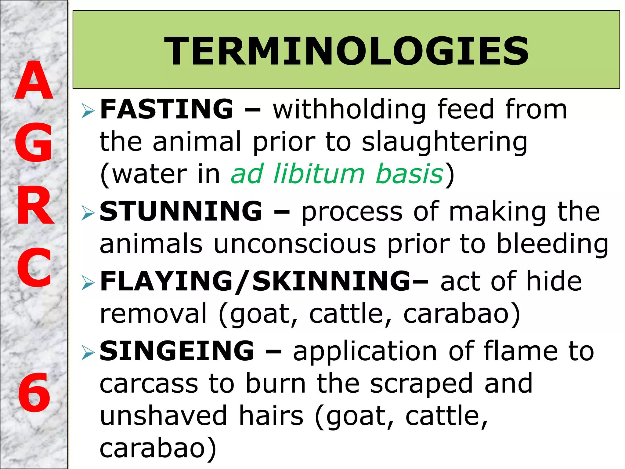 FASTING – withholding feed from
the animal prior to slaughtering
(water in ad libitum basis)
STUNNING – process of making the
animals unconscious prior to bleeding
FLAYING/SKINNING– act of hide
removal (goat, cattle, carabao)
SINGEING – application of flame to
carcass to burn the scraped and
unshaved hairs (goat, cattle,
carabao)
TERMINOLOGIES
A
G
R
C
6
 