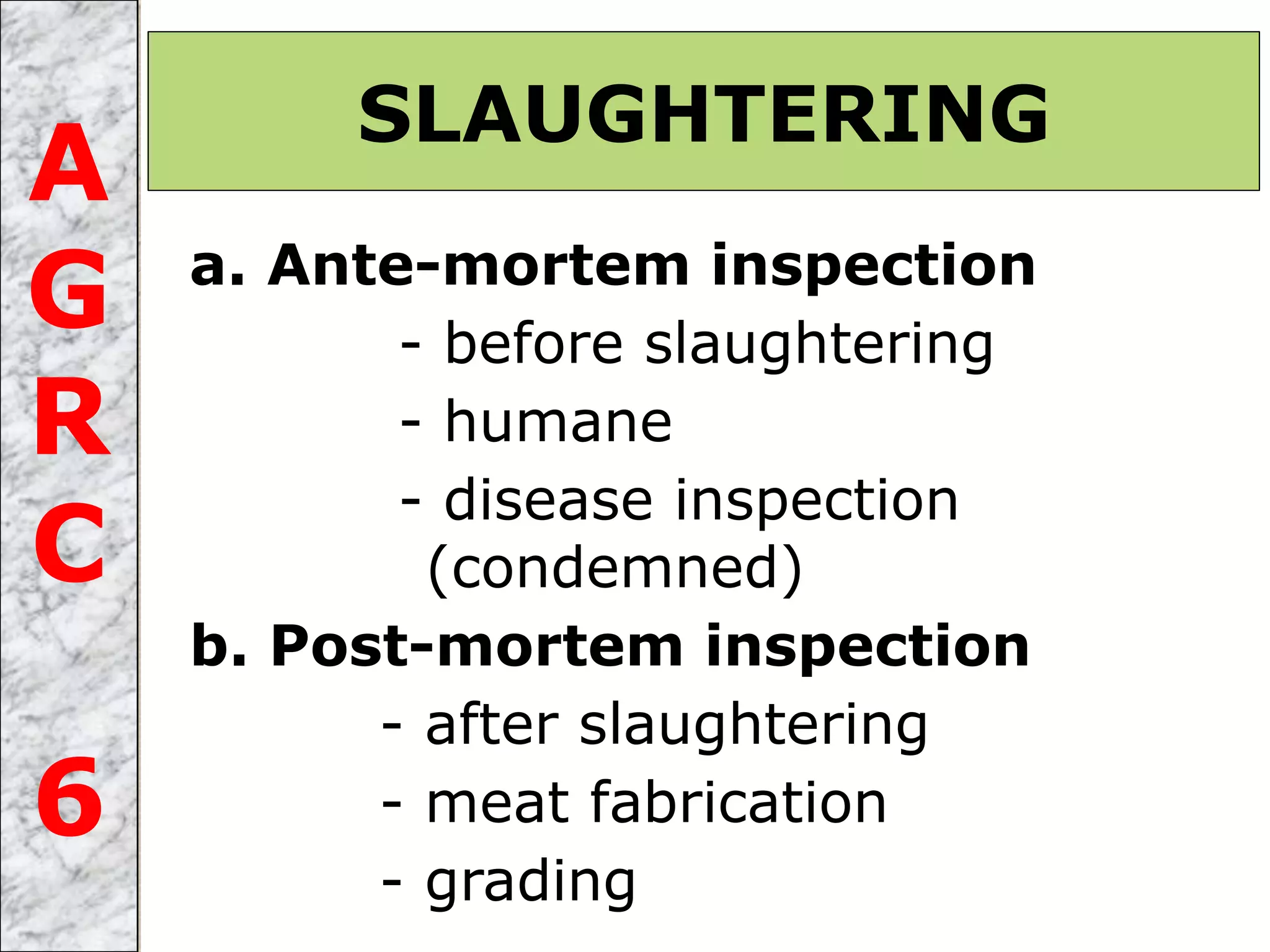 a. Ante-mortem inspection
- before slaughtering
- humane
- disease inspection
(condemned)
b. Post-mortem inspection
- after slaughtering
- meat fabrication
- grading
SLAUGHTERING
A
G
R
C
6
 
