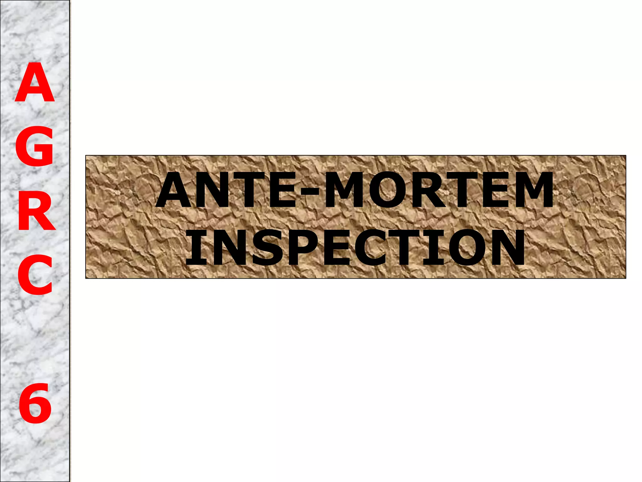 ANTE-MORTEM
INSPECTION
A
G
R
C
6
 
