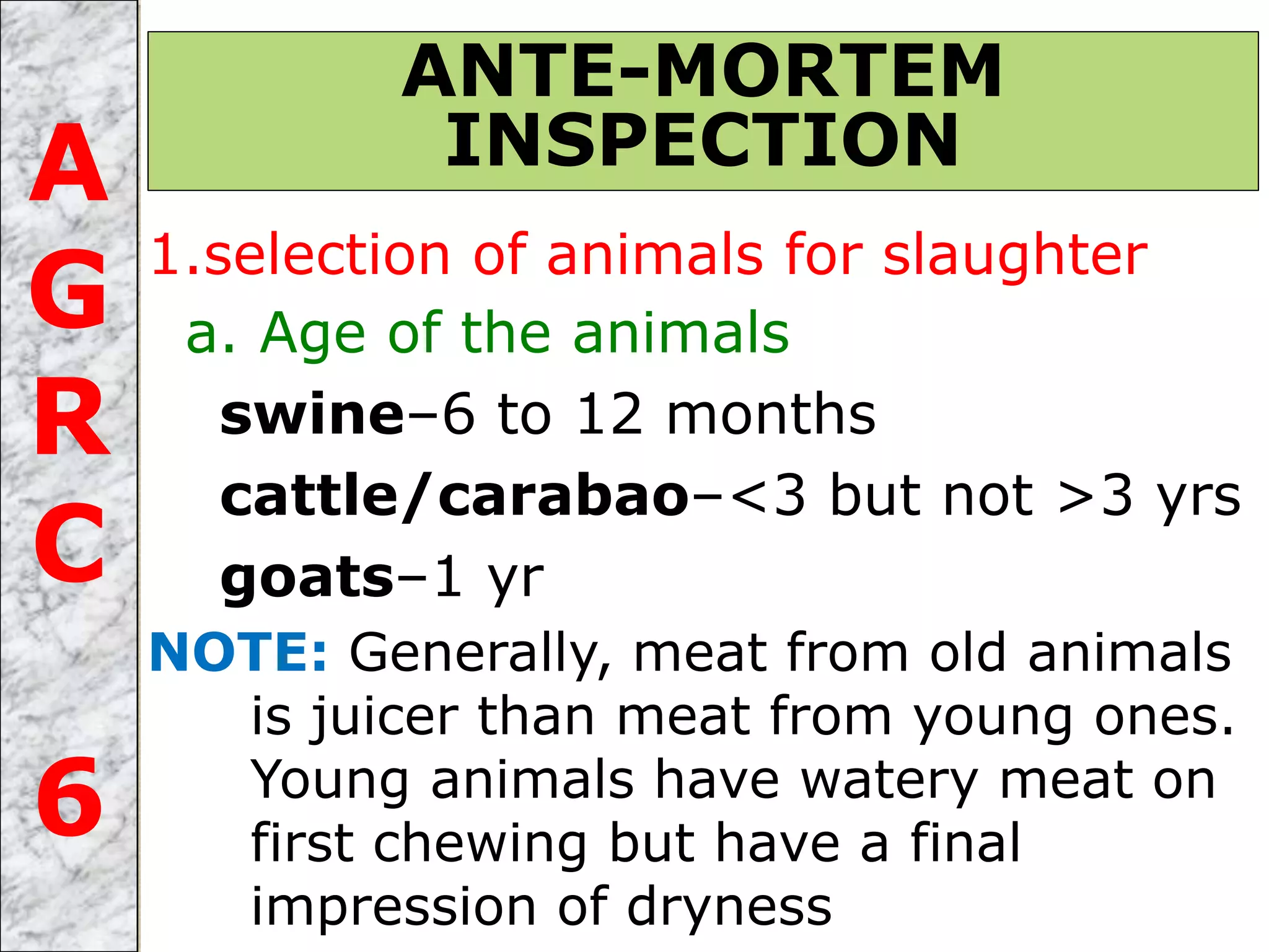 1.selection of animals for slaughter
a. Age of the animals
swine–6 to 12 months
cattle/carabao–<3 but not >3 yrs
goats–1 yr
NOTE: Generally, meat from old animals
is juicer than meat from young ones.
Young animals have watery meat on
first chewing but have a final
impression of dryness
ANTE-MORTEM
INSPECTIONA
G
R
C
6
 