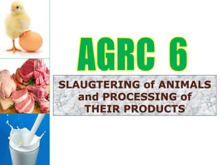 SLAUGTERING of ANIMALS
and PROCESSING of
THEIR PRODUCTS
 