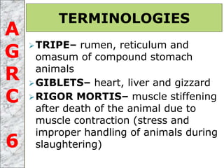 TRIPE– rumen, reticulum and
omasum of compound stomach
animals
GIBLETS– heart, liver and gizzard
RIGOR MORTIS– muscle stiffening
after death of the animal due to
muscle contraction (stress and
improper handling of animals during
slaughtering)
TERMINOLOGIES
A
G
R
C
6
 