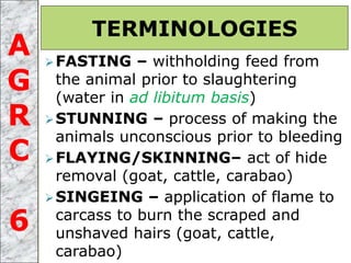 FASTING – withholding feed from
the animal prior to slaughtering
(water in ad libitum basis)
STUNNING – process of making the
animals unconscious prior to bleeding
FLAYING/SKINNING– act of hide
removal (goat, cattle, carabao)
SINGEING – application of flame to
carcass to burn the scraped and
unshaved hairs (goat, cattle,
carabao)
TERMINOLOGIES
A
G
R
C
6
 