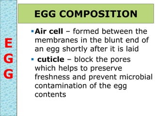 Air cell – formed between the
membranes in the blunt end of
an egg shortly after it is laid
 cuticle – block the pores
which helps to preserve
freshness and prevent microbial
contamination of the egg
contents
EGG COMPOSITION
E
G
G
 