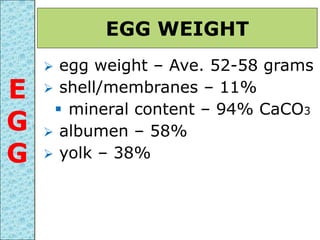  egg weight – Ave. 52-58 grams
 shell/membranes – 11%
 mineral content – 94% CaCO3
 albumen – 58%
 yolk – 38%
EGG WEIGHT
E
G
G
 