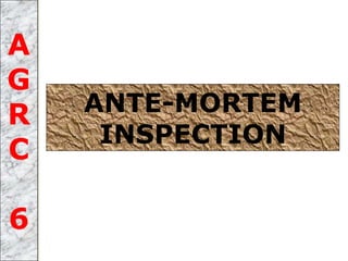 ANTE-MORTEM
INSPECTION
A
G
R
C
6
 
