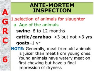 1.selection of animals for slaughter
a. Age of the animals
swine–6 to 12 months
cattle/carabao–<3 but not >3 yrs
goats–1 yr
NOTE: Generally, meat from old animals
is juicer than meat from young ones.
Young animals have watery meat on
first chewing but have a final
impression of dryness
ANTE-MORTEM
INSPECTIONA
G
R
C
6
 