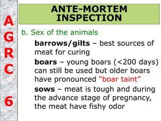 b. Sex of the animals
barrows/gilts – best sources of
meat for curing
boars – young boars (<200 days)
can still be used but older boars
have pronounced “boar taint”
sows – meat is tough and during
the advance stage of pregnancy,
the meat have fishy odor
ANTE-MORTEM
INSPECTIONA
G
R
C
6
 