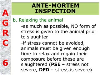 b. Relaxing the animal
-as much as possible, NO form of
stress is given to the animal prior
to slaughter
-if stress cannot be avoided,
animals must be given enough
time to relax and regain their
composure before these are
slaughtered (PSE – stress not
severe, DFD – stress is severe)
ANTE-MORTEM
INSPECTIONA
G
R
C
6
 