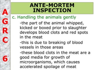 c. Handling the animals gently
-the part of the animal whipped,
kicked or boxed prior to slaughter
develops blood clots and red spots
in the meat
-this is due to breaking of blood
vessels in those areas
-these blood clots in the meat are a
good media for growth of
microorganisms, which causes
accelerated spoilage of meat
ANTE-MORTEM
INSPECTIONA
G
R
C
6
 