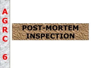 POST-MORTEM
INSPECTION
A
G
R
C
6
 
