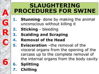 1. Stunning- done by making the animal
unconscious without killing it
2. Sticking - bleeding
3. Scalding and Scraping
4. Removal of the Head
5. Evisceration –the removal of the
visceral organs from the opening of the
carcass up to the complete removal of
the internal organs from the body cavity
6. Splitting
7. Chilling
SLAUGHTERING
PROCEDURES FOR SWINEA
G
R
C
6
 