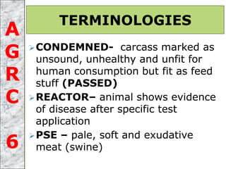 CONDEMNED- carcass marked as
unsound, unhealthy and unfit for
human consumption but fit as feed
stuff (PASSED)
REACTOR– animal shows evidence
of disease after specific test
application
PSE – pale, soft and exudative
meat (swine)
TERMINOLOGIES
A
G
R
C
6
 