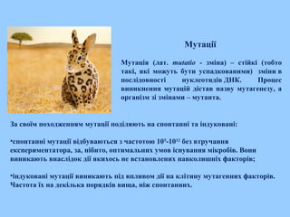 Мутації
Мутація (лат. mutatio - зміна) – стійкі (тобто
такі, які можуть бути успадкованими)  зміни в
послідовності нуклеотидів ДНК. Процес
виникнення мутацій дістав назву мутагенезу, а
організм зі змінами – мутанта.
За своїм походженням мутації поділяють на спонтанні та індуковані:
•спонтанні мутації відбуваються з частотою 105
-1012
без втручання
експериментатора, за, нібито, оптимальних умов існування мікробів. Вони
виникають внаслідок дії якихось не встановлених навколишніх факторів;
•індуковані мутації виникають під впливом дії на клітину мутагенних факторів.
Частота їх на декілька порядків вища, ніж спонтанних.
 