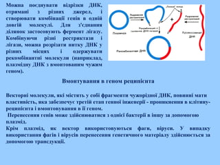 Можна поєднувати відрізки ДНК,
отримані з різних джерел, і
створювати комбінації генів в одній
довгій молекулі. Для з'єднання
ділянок застосовують фермент лігазу.
Комбінуючи різні рестриктази і
лігази, можна розрізати нитку ДНК у
різних місцях і одержувати
рекомбінантні молекули (наприклад,
плазмідну ДНК з вмонтованим чужим
геном).
Вмонтування в геном реципієнта
Векторні молекули, які містять у собі фрагменти чужорідної ДНК, повинні мати
властивість, яка забезпечує третій етап генної інженерії ­ проникнення в клітину­
реципієнта і вмонтовування в її геном.
 Перенесення генів може здійснюватися з однієї бактерії в іншу за допомогою
плазмід.
Крім плазмід, як вектор використовуються фаги, віруси. У випадку
використання фагів і вірусів перенесення генетичного матеріалу здійснюється за
допомогою трансдукції.
 