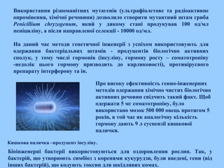 Використання різноманітних мутагенів (ультрафіолетове та радіоактивне
опромінення, хімічні речовини) дозволило створити мутантний штам гриба
Penicillium chryzogenum, який у дикому стані продукував 100 од/мл
пеніциліну, а після направленої селекції ­ 10000 од/мл.
На даний час методи генетичної інженерії з успіхом використовують для
одержання бактеріальних штамів ­ продуцентів біологічно активних
сполук, у тому числі гормонів (інсуліну, гормону росту – соматотропіну
­недолік цього гормону призводить до карликовості), противірусного
препарату інтерферону та ін.
Кишкова паличка –продуцент інсуліну.
Про високу ефективність генно­інженерних
методів одержання хімічно чистих біологічно
активних речовин свідчить такий факт. Щоб
одержати 5 мг соматотропіну, було
використано мозок 500 000 овець протягом 5
років, в той час як аналогічну кількість
гормону дають 9 л суспензії кишкової
палички.  
Біоінженерні бактерії використовуються для оздоровлення рослин. Так, у
бактерій, що утворюють симбіоз з коренями кукурудзи, були введені, гени (від
інших бактерій), що кодують токсин для шкідливих комах.
 