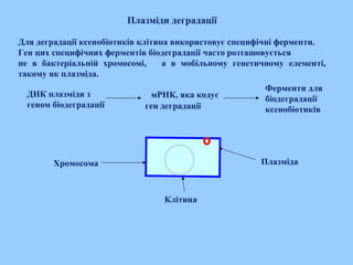 Плазміди деградації
Для деградації ксенобіотиків клітина використовує специфічні ферменти.
Ген цих специфічних ферментів біодеградації часто розташовується
не в бактеріальній хромосомі, а в мобільному генетичному елементі,
такому як плазміда.
ДНК плазміди з
геном біодеградації
мРНК, яка кодує
ген деградації
Ферменти для
біодеградації
ксенобіотиків
Хромосома Плазміда
Клітина
 