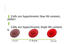 Cells are hypochromic (low Hb content,
pallor)
Cells are hyperchromic (high Hb content,
blush)
33-36 g/dL
<33 g/dl >36 g/dl
 
