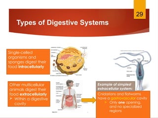 Incomplete Digestive System Examples Topic12_The DIgestiveSystem System_L24AN (1) (1).pptx