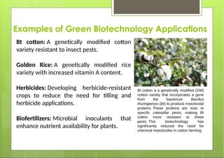 Effects of Green Biotechnology in todays.pptx