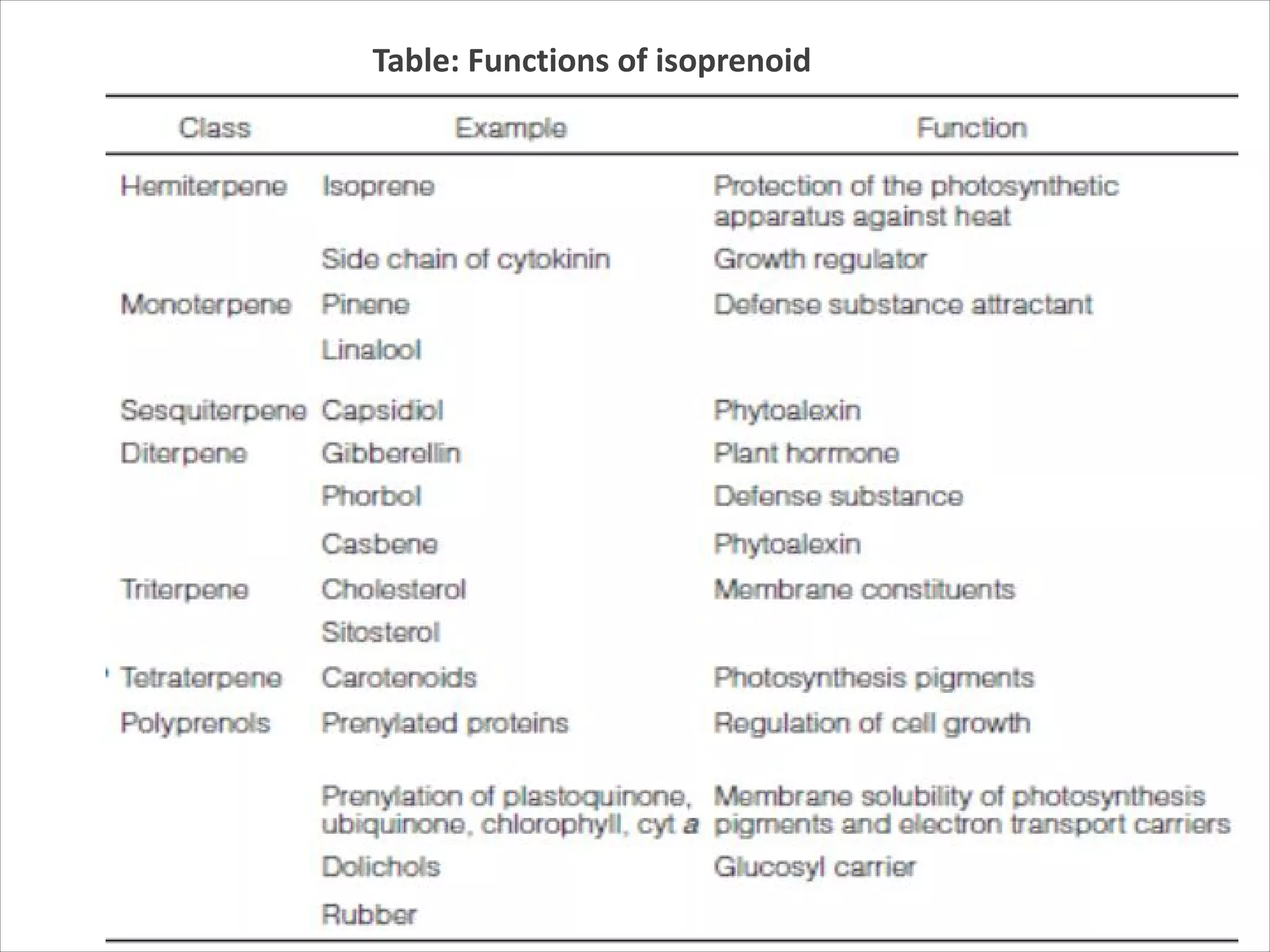 Table: Functions of isoprenoid
 